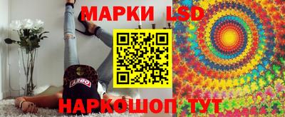 ALPHA PVP Новодвинск