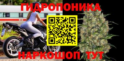 спиды Новозыбков