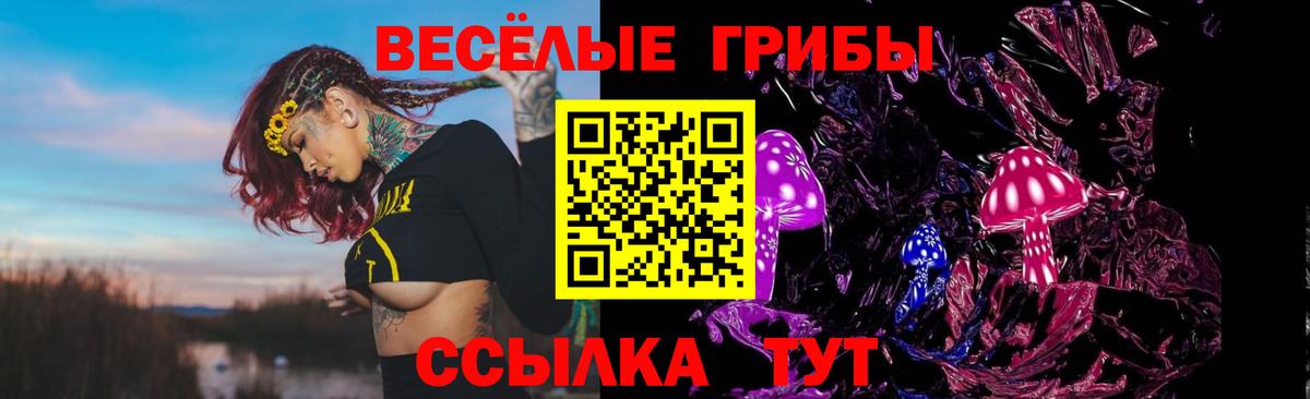 купить наркотики цена  Вход с VPN  Салехард  Галлюциногенные грибы MAGIC MUSHROOMS 